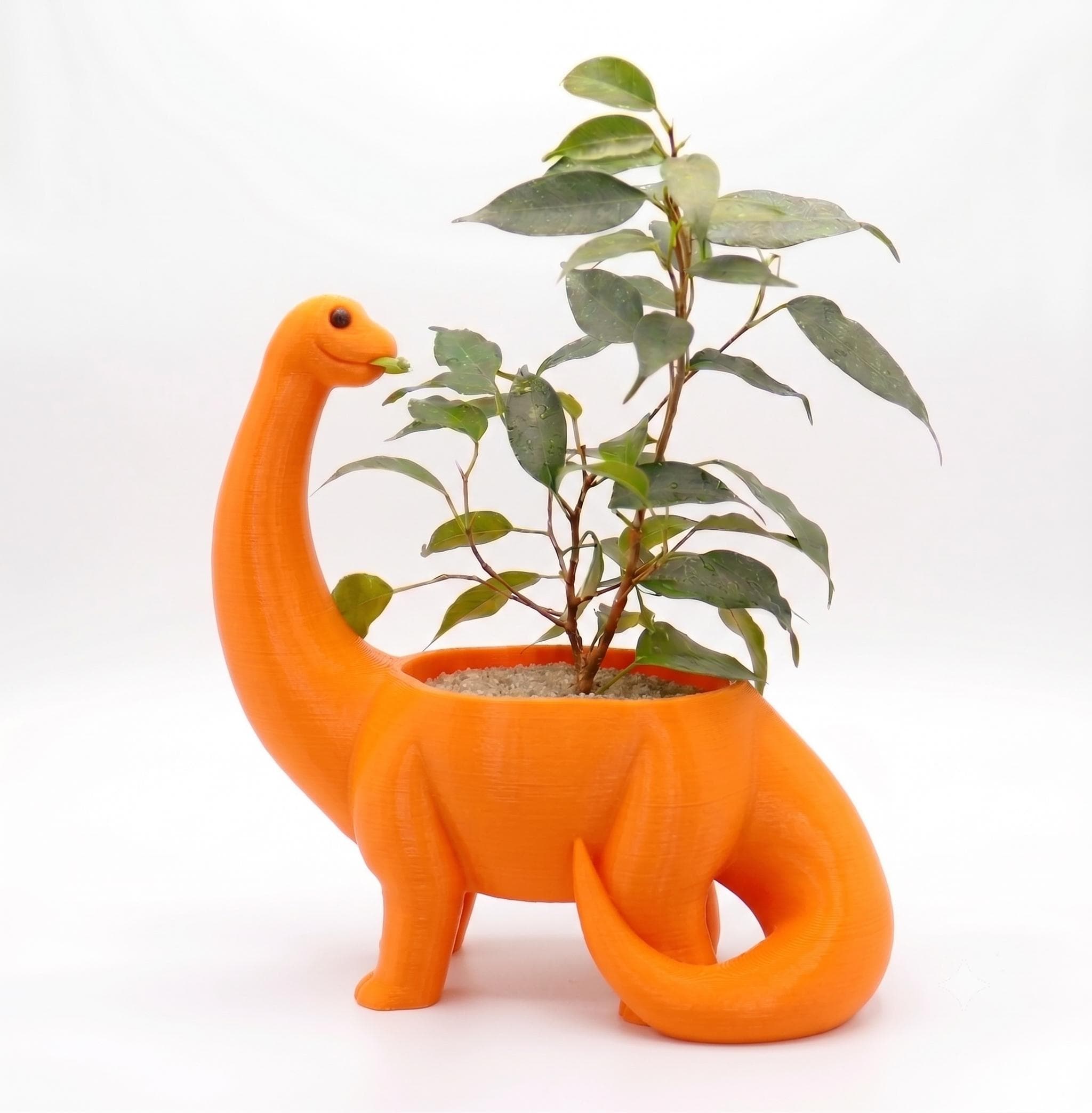 Maceta Decorativa Dino Plantosaurus Girly Para Plantas, Suculentas o Cactus