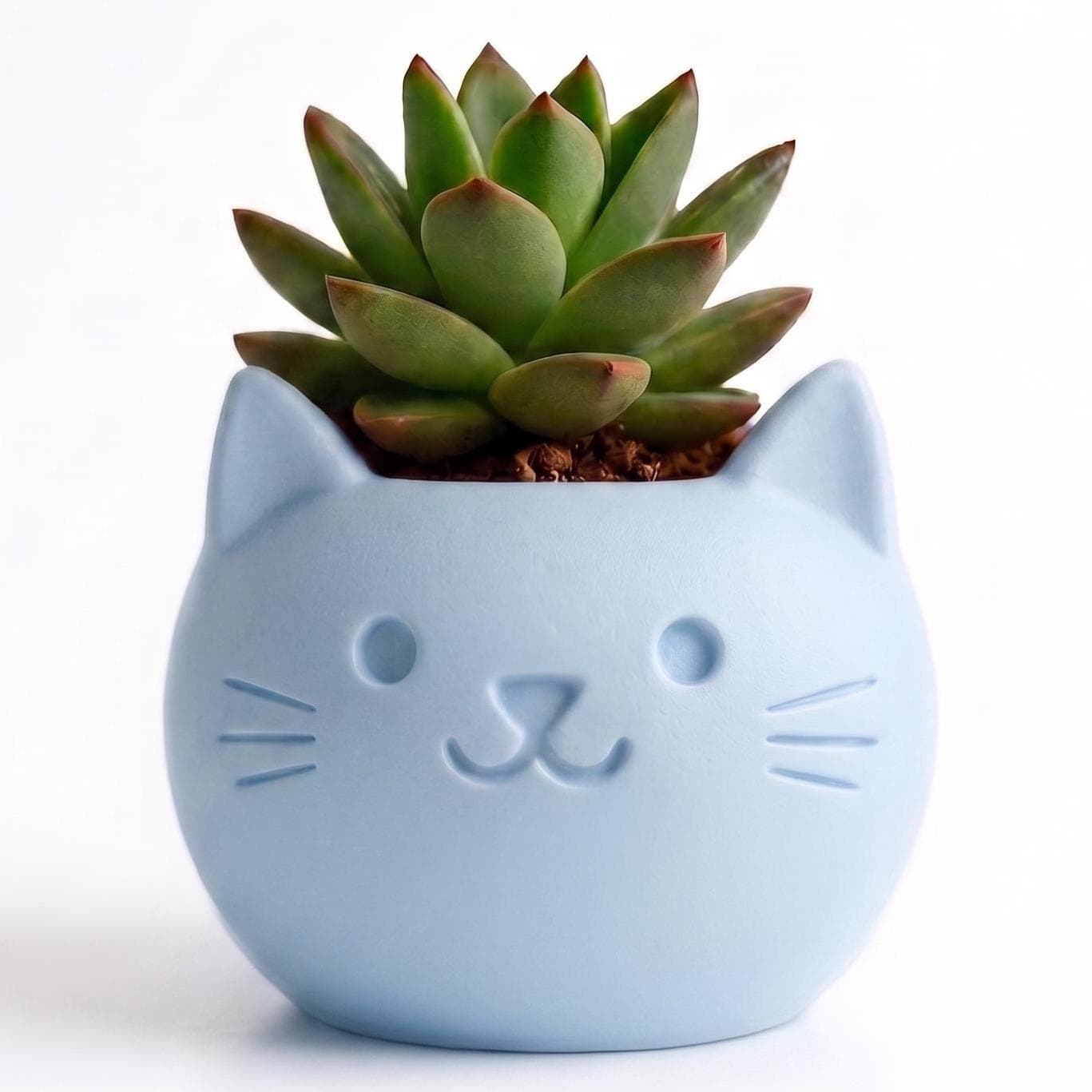 Maceta Decorativa Gatito Carita Girly Para Plantas, Suculentas o Cactus