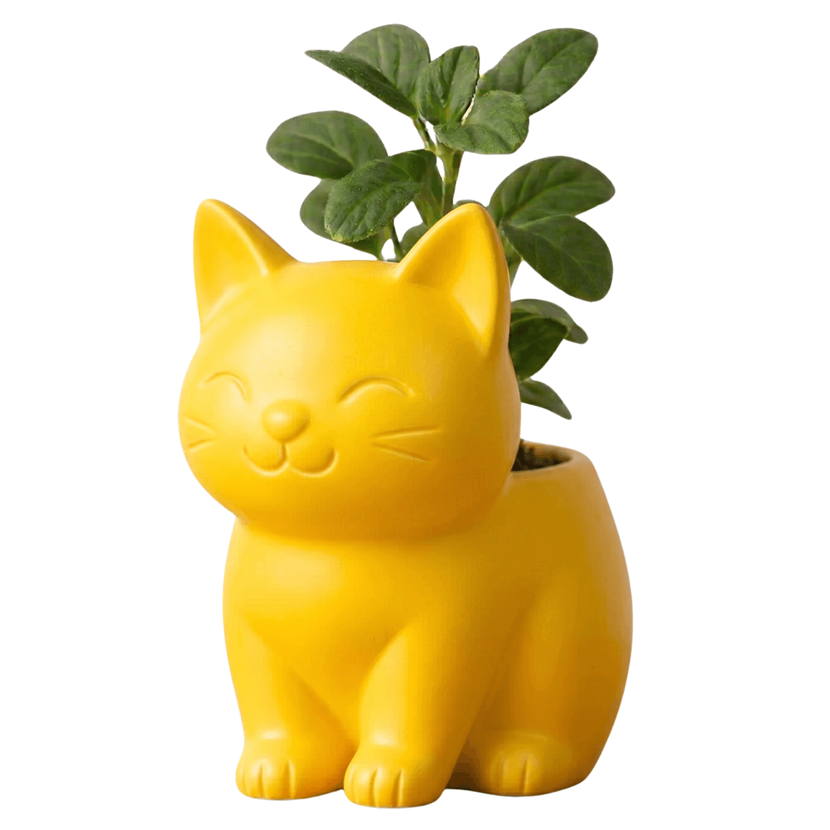 Maceta Decorativa Gatito Tierno — Amarilla