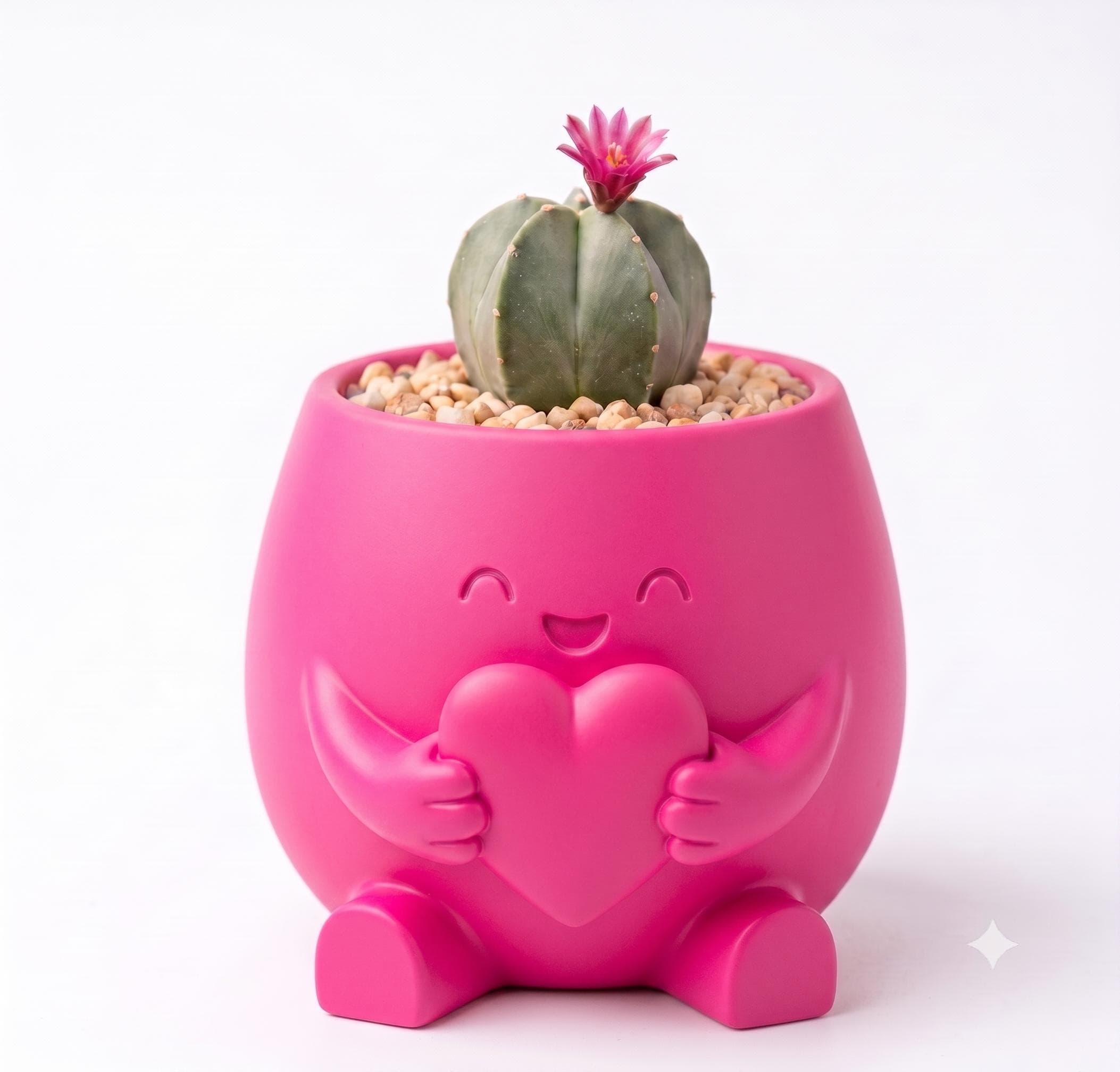 Maceta Decorativa Girly Abrazo Corazón Para Plantas, Suculentas o Cactus