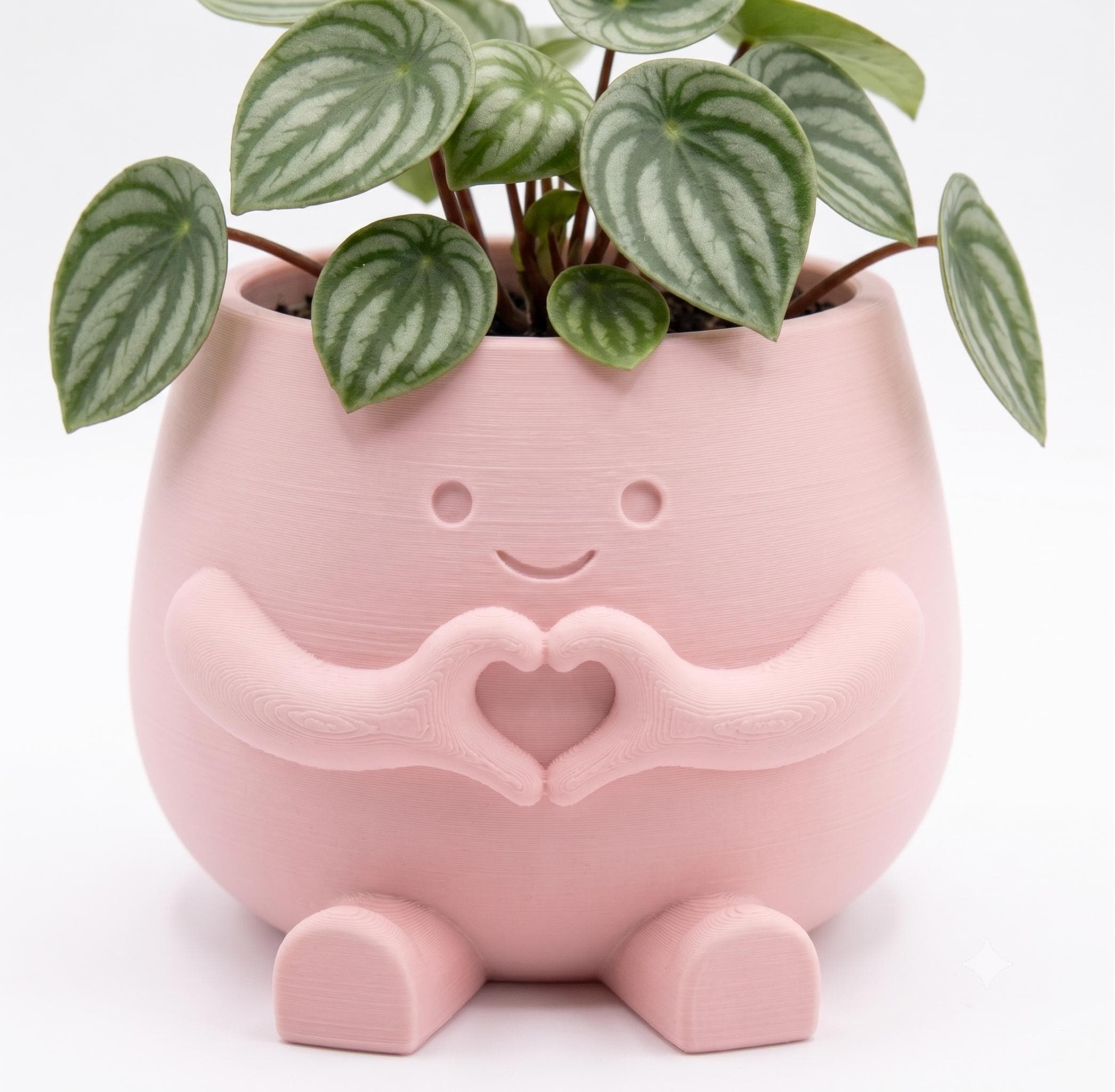 Maceta Decorativa Girly Love Corazón Para Plantas, Suculentas o Cactus