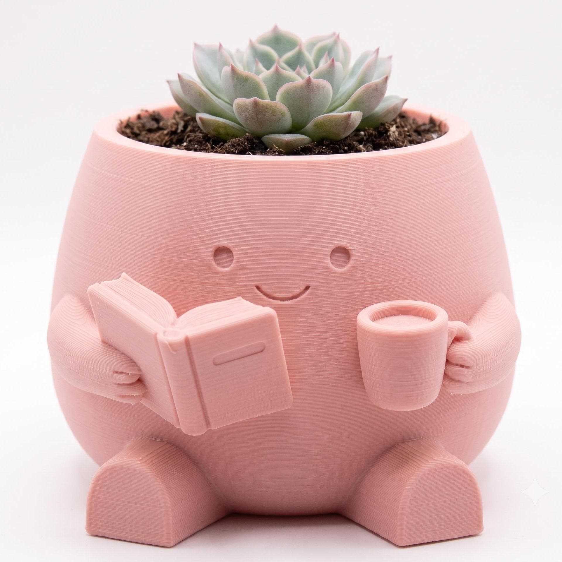 Maceta Decorativa Girly Para Plantas, Suculentas o Cactus