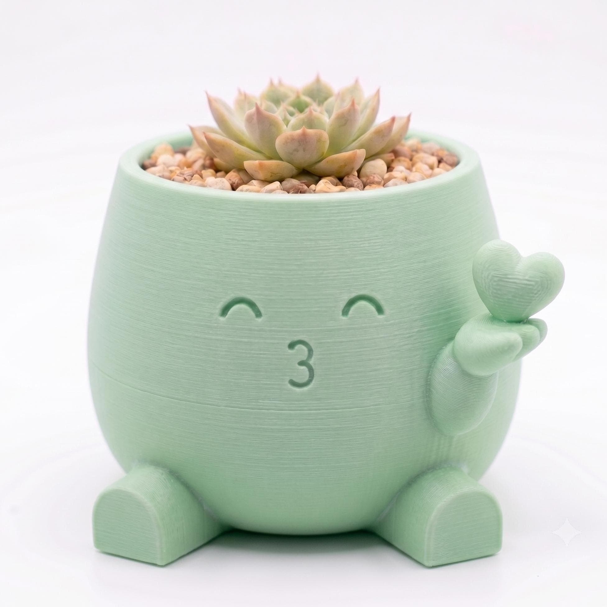 Maceta Decorativa Kiss Girly Para Plantas, Suculentas o Cactus