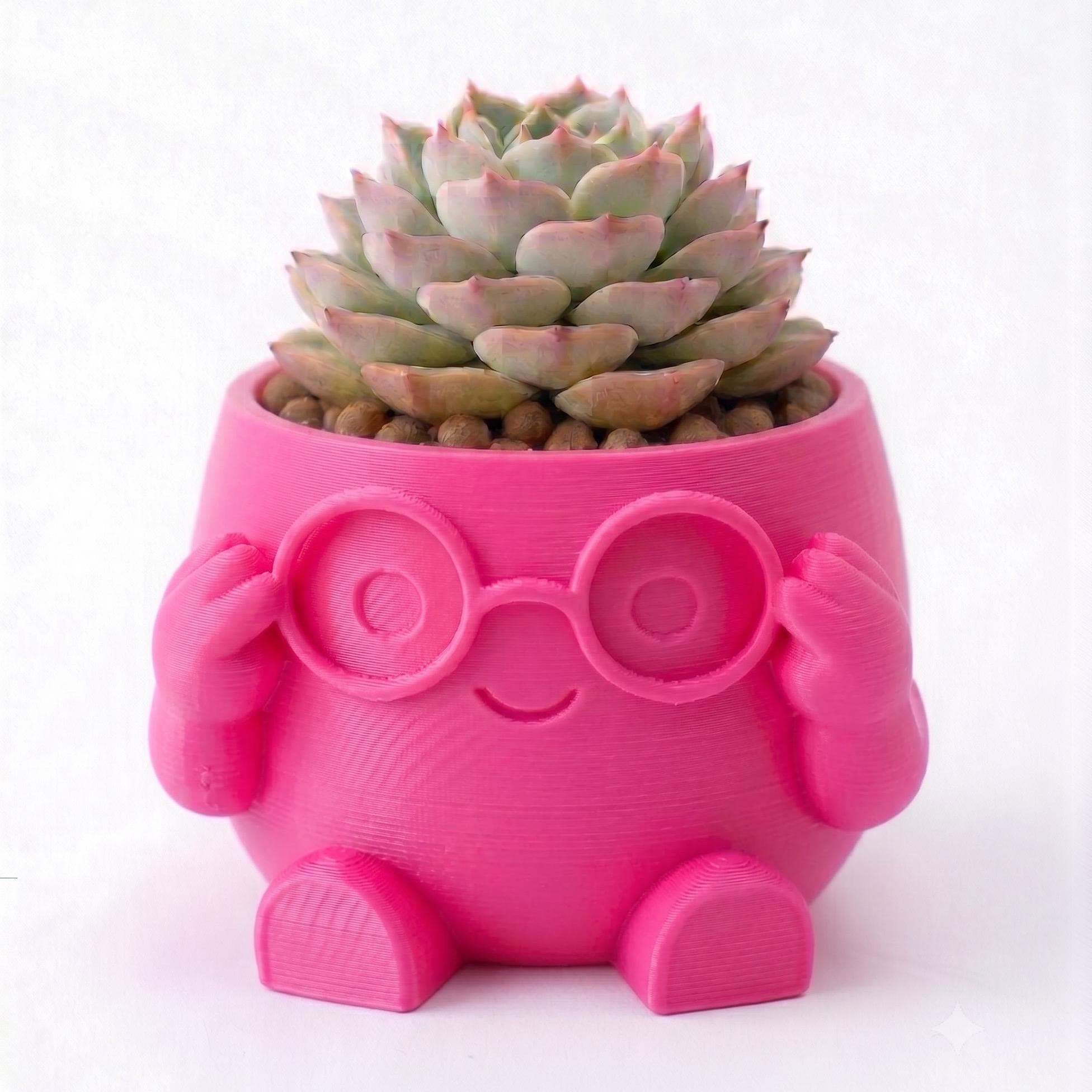 Maceta Decorativa Lentes Girly Para Plantas, Suculentas o Cactus
