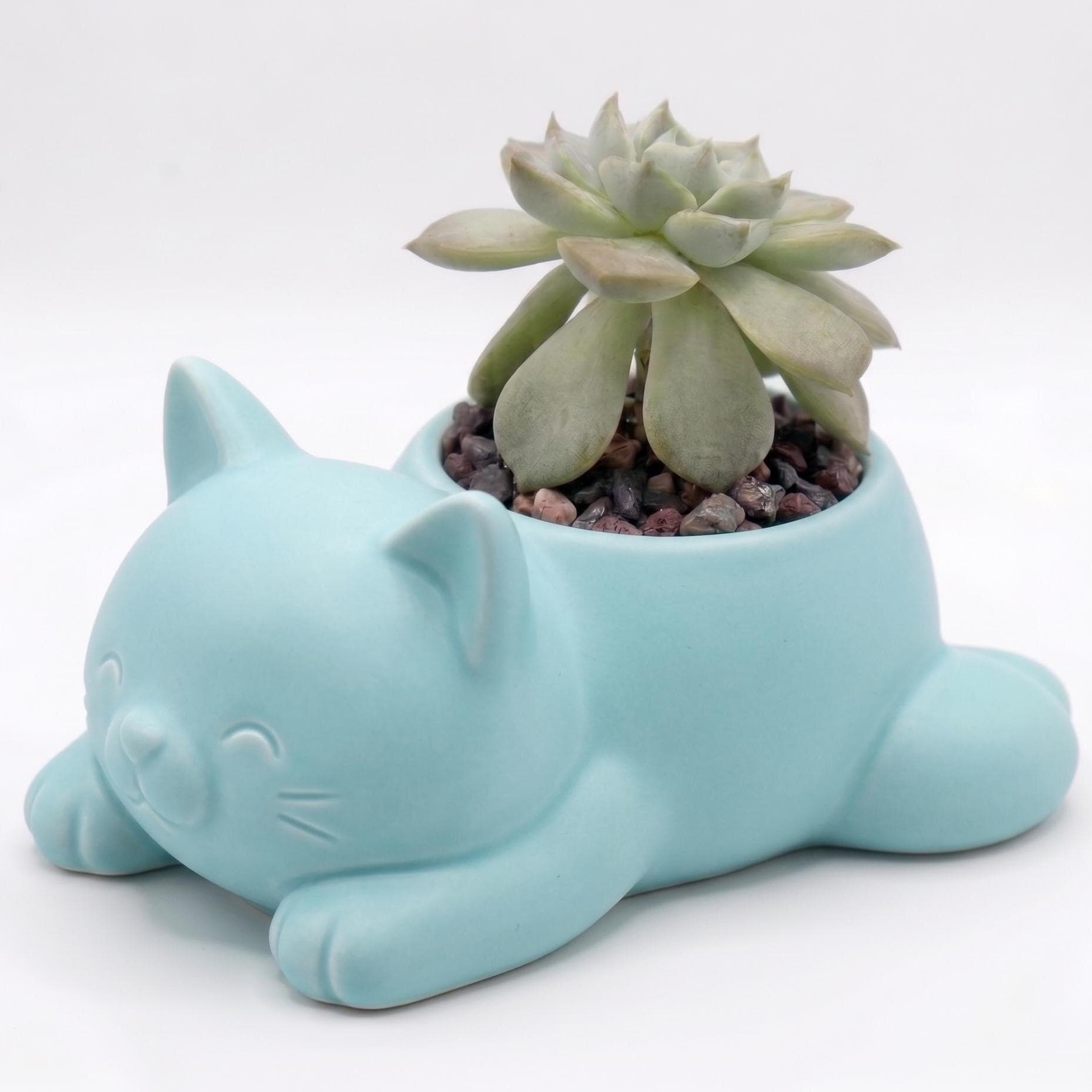 Mini Maceta de Gatito Panza Impresa en 3D | Decoración Tierna para Escritorio y Oficina con Cactus