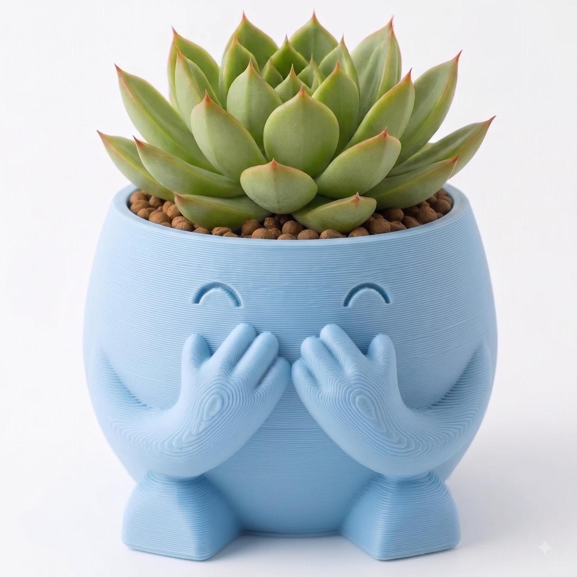 Mini Maceta de Personaje Sonrojado Impresa en 3D | Decoración Tierna para Escritorio y Oficina con Cactus