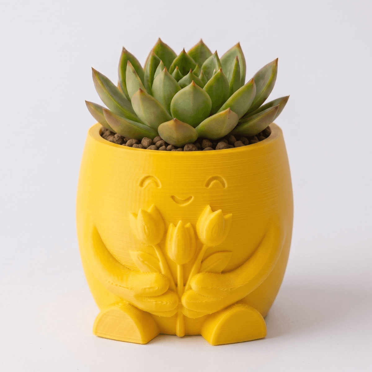 Mini Maceta de Personaje Tulipanes — Amarilla