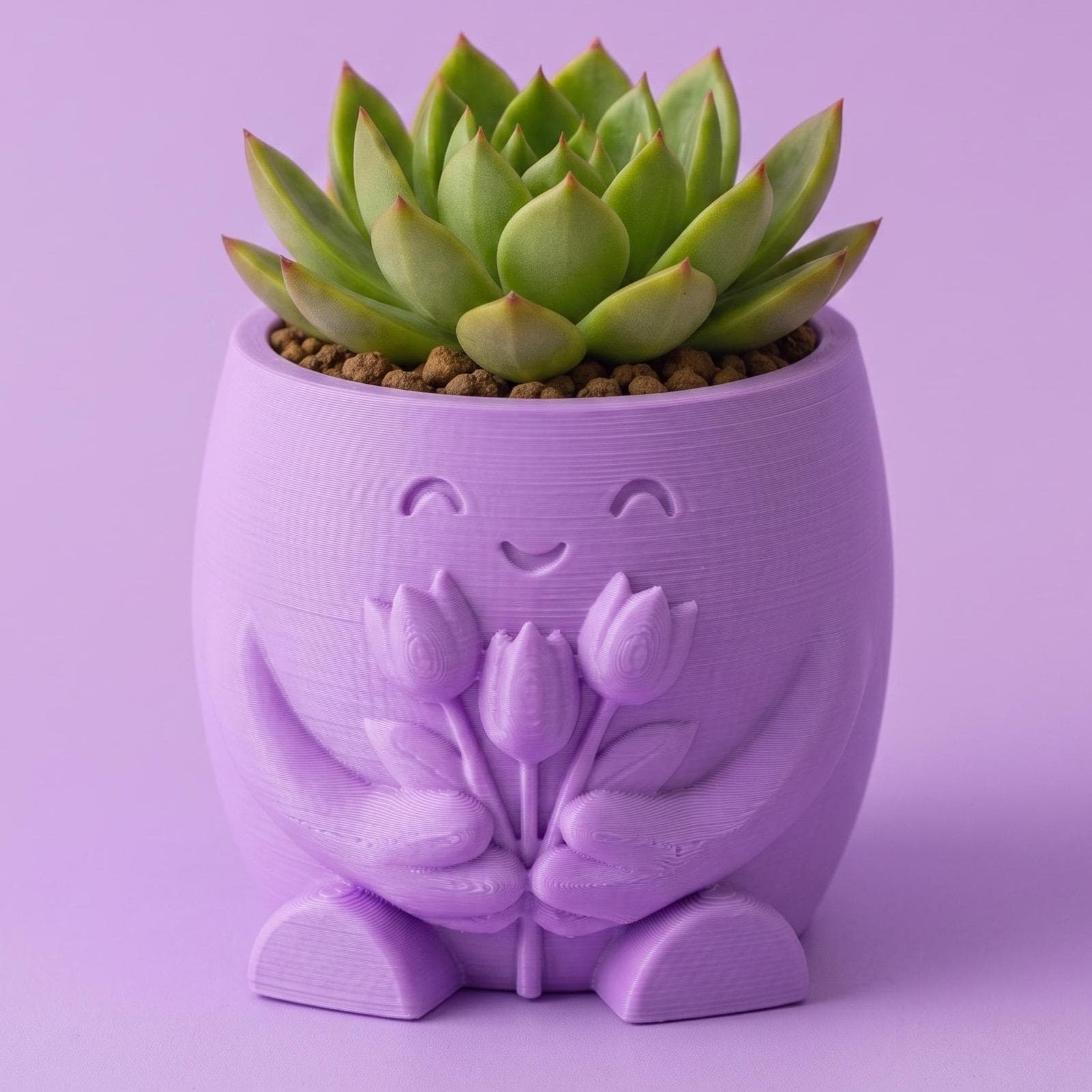 Mini Maceta de Personaje Tulipanes Impresa en 3D | Decoración Tierna para Escritorio y Oficina con Cactus